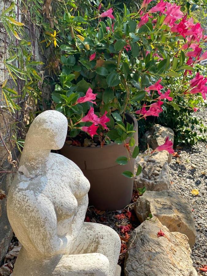 Carpe Diem Paradise Mougins Extérieur photo